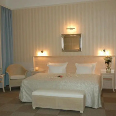 Unitas Hotel 4* Стандартный номер с различными типами кроватей фото 10