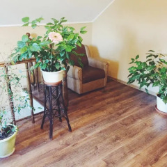 Hostel Papa House Стандартный номер с различными типами кроватей