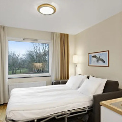 Hotel Tornet 3* Стандартный номер с различными типами кроватей фото 5