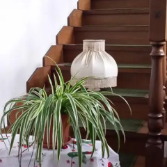 Отель Ca Angiola Кастель-д'Арио фото 7