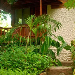 Отель Montalay Beach Resort Koh Tao фото 4