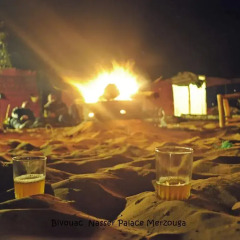 Отель Bivouac NasserPalace Марокко, Мерзуга - отзывы, цены и фото номеров - забронировать отель Bivouac NasserPalace онлайн помещение для мероприятий