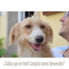 Отель Apartamentos Campana Эль-Грове с домашними животными