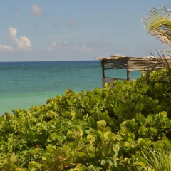 Отель Posada del Sol Tulum 3* Номер Делюкс с различными типами кроватей фото 5