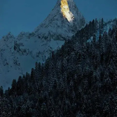 Гостиница Меридиан фото 12