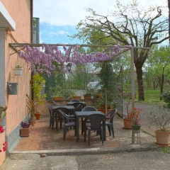 Отель B&B Il Vigneto Италия, Манерба-дель-Гарда - отзывы, цены и фото номеров - забронировать отель B&B Il Vigneto онлайн питание