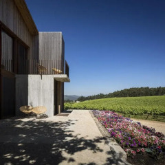 Monverde Wine Experience Hotel 4* Стандартный номер разные типы кроватей фото 6