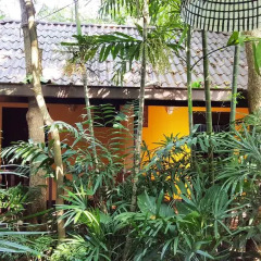 Отель Birds & Bees Resort 3* Стандартный номер с 2 отдельными кроватями фото 2