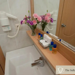 Sultans Royal Hotel 4* Номер категории Эконом с различными типами кроватей фото 6