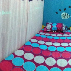 Отель Bubble Backpackers Semporna Кровать в общем номере с двухъярусной кроватью фото 3