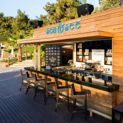 Rixos Premium Bodrum Турция, Голькой - отзывы, цены и фото номеров - забронировать отель Rixos Premium Bodrum - All Inclusive онлайн гостиничный бар