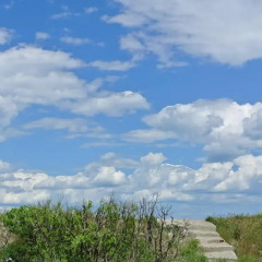 Отель Tara Atlantic Apartment Болгария, Поморие - отзывы, цены и фото номеров - забронировать отель Tara Atlantic Apartment онлайн фото 2