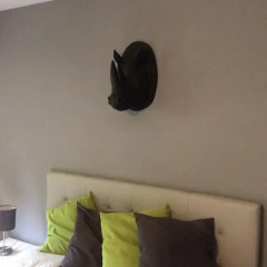 Отель B&B Uccle комната для гостей фото 4