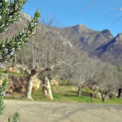 Отель L'Oliveto Сан-Никола-ла-Страда спортивное сооружение
