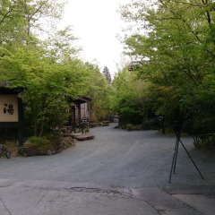Отель Ryokan Kono-Yu Минамиогуни фото 8