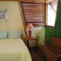 Отель Whistling Bird Resort комната для гостей фото 5