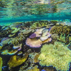 Отель Matangi Private Island Resort пляж фото 2