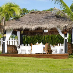 Отель Golden Cove Resort