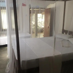 Отель Yala Golden Park 3* Номер Делюкс с различными типами кроватей фото 36