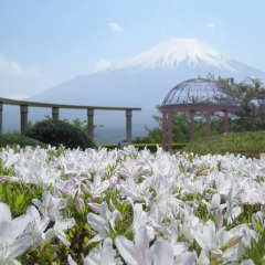 Hotel Mt. Fuji Яманакако помещение для мероприятий