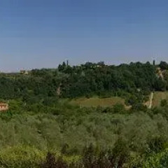 Отель Madonna della Rosa Кьянчиано Терме фото 2