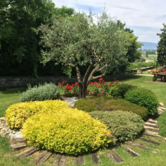 Отель Agriturismo Al Colle Del Ciliegio Италия, Региональный парк Colli Euganei - отзывы, цены и фото номеров - забронировать отель Agriturismo Al Colle Del Ciliegio онлайн фото 3