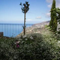 Отель Villas Santo Antão пляж фото 2