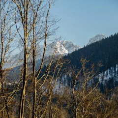 Отель Dolina Resort Zakopane Косцелиско