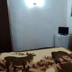 Гостиница Guest House Nika Стандартный номер с двуспальной кроватью (общая ванная комната) фото 3