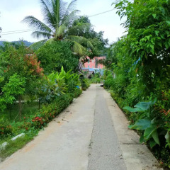 Отель The Krabi Forest Homestay 2* Стандартный номер с различными типами кроватей фото 4