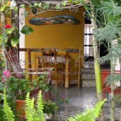 Отель Casa Doña Elena B&B Гондурас, Копан-Руинас - отзывы, цены и фото номеров - забронировать отель Casa Doña Elena B&B онлайн фото 2