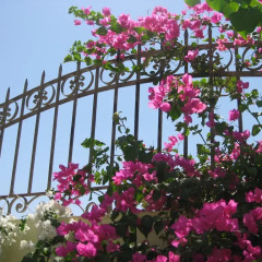 Отель Villa Shahrazad Hurghada