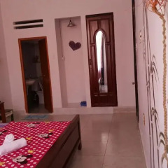 Little Home Hostel Nha Trang Стандартный номер с различными типами кроватей фото 8