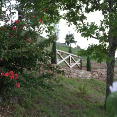 Отель Camping Lamego Португалия, Ламего - отзывы, цены и фото номеров - забронировать отель Camping Lamego онлайн детские мероприятия