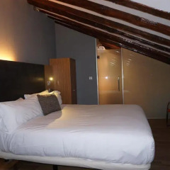 Отель Petit Palace Plaza del Carmen 4* Стандартный номер с различными типами кроватей фото 29