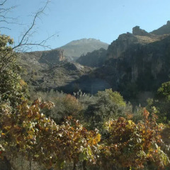 Отель Casa Rural Los Cahorros Sierra Nevada фото 3