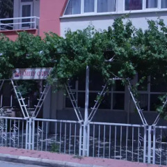 Duru Family Hotel детские мероприятия
