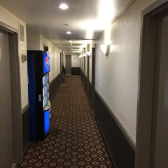 Отель Buena Vista Motor Inn интерьер отеля фото 3