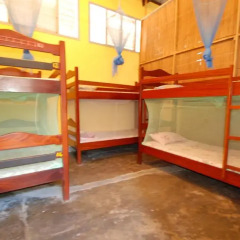 Отель Pariango Beach Motel 2* Кровать в мужском общем номере с двухъярусной кроватью фото 4