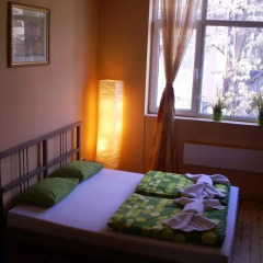Elegance Hostel and Guesthouse Стандартный номер с различными типами кроватей фото 2