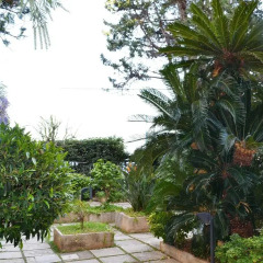 Отель Gabbiano House Италия, Палермо - отзывы, цены и фото номеров - забронировать отель Gabbiano House онлайн