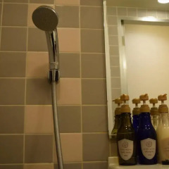 Asakusa Central Hotel 3* Стандартный номер с двуспальной кроватью фото 15