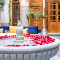 Отель Riad Myra Hotel Марокко, Фес - отзывы, цены и фото номеров - забронировать отель Riad Myra Hotel онлайн фото 3