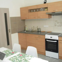 Отель Apartman Sofije Чехия, Карловы Вары - отзывы, цены и фото номеров - забронировать отель Apartman Sofije онлайн в номере фото 2