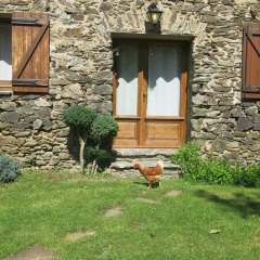 Отель Apartamentos Rurales Les Barnedes Мольо