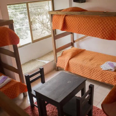 Lion Hostel Кровать в общем номере