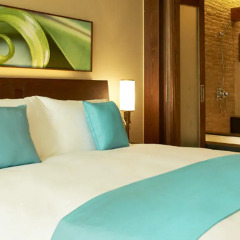 Отель Sofitel Дубаи Палм Резорт & Спа 5* Номер категории Премиум с различными типами кроватей фото 2