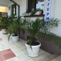 Отель Guest House Rositsa интерьер отеля