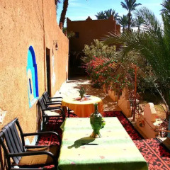 Отель Riad Dar Zaouia Марокко, Загора - отзывы, цены и фото номеров - забронировать отель Riad Dar Zaouia онлайн фото 11