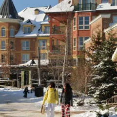 Отель Blue Mountain Resort фото 6